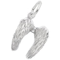 The Angel Wings Charm